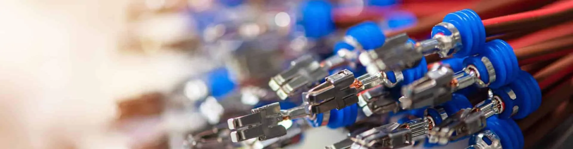 Motor and Gear Motor Selection Guide Motor and Gear Motor Selection Guide